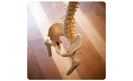 整体院でこれまで相談を受けた症状 整体院でこれまで相談を受けた症状