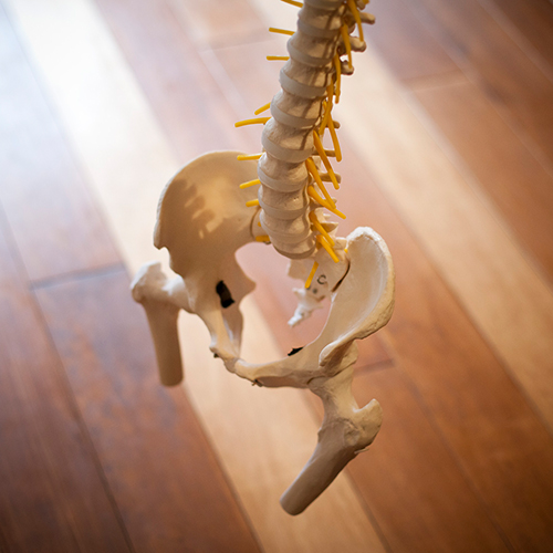 整体院でこれまで相談を受けた症状 整体院でこれまで相談を受けた症状